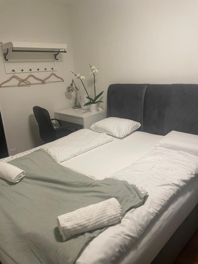 Hechtplatz Hotel チューリッヒ エクステリア 写真