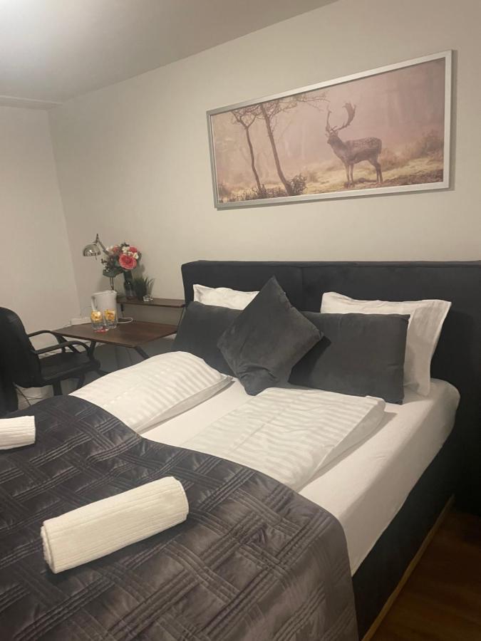 Hechtplatz Hotel チューリッヒ エクステリア 写真